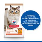 Hill’s Science Plan Adult Pollo pienso para gatos, , large image number null